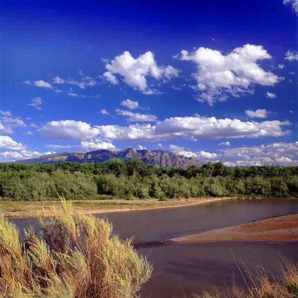 Sheraton Albuquerque Airport Hotel Bagian luar foto